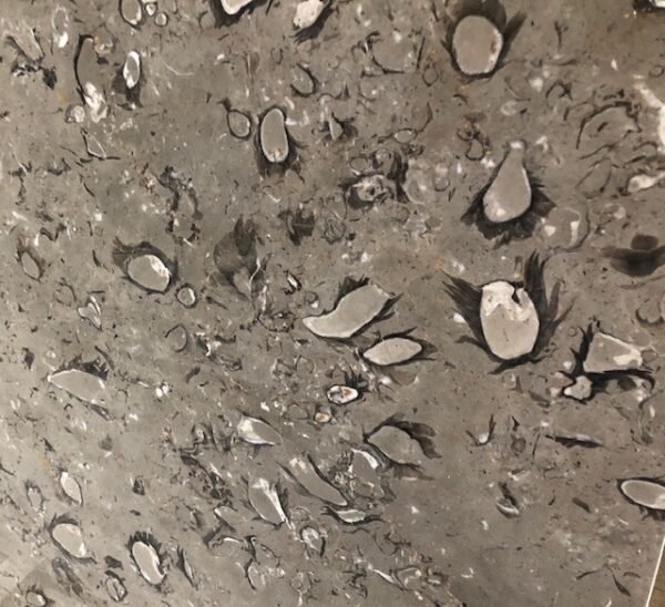 INFINITY GREY MARBLE
